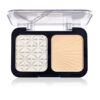 Finishing Powder